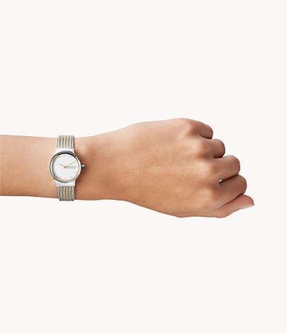 Montre Skagen pour femme Freja Lille SKW2698 en maille milanaise bicolore argentée et dorée portée